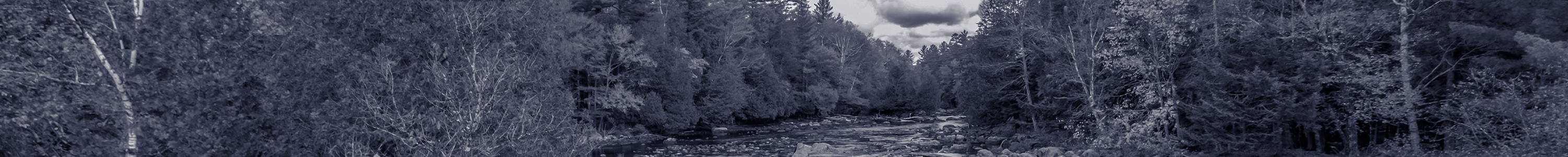 decorative image of the river